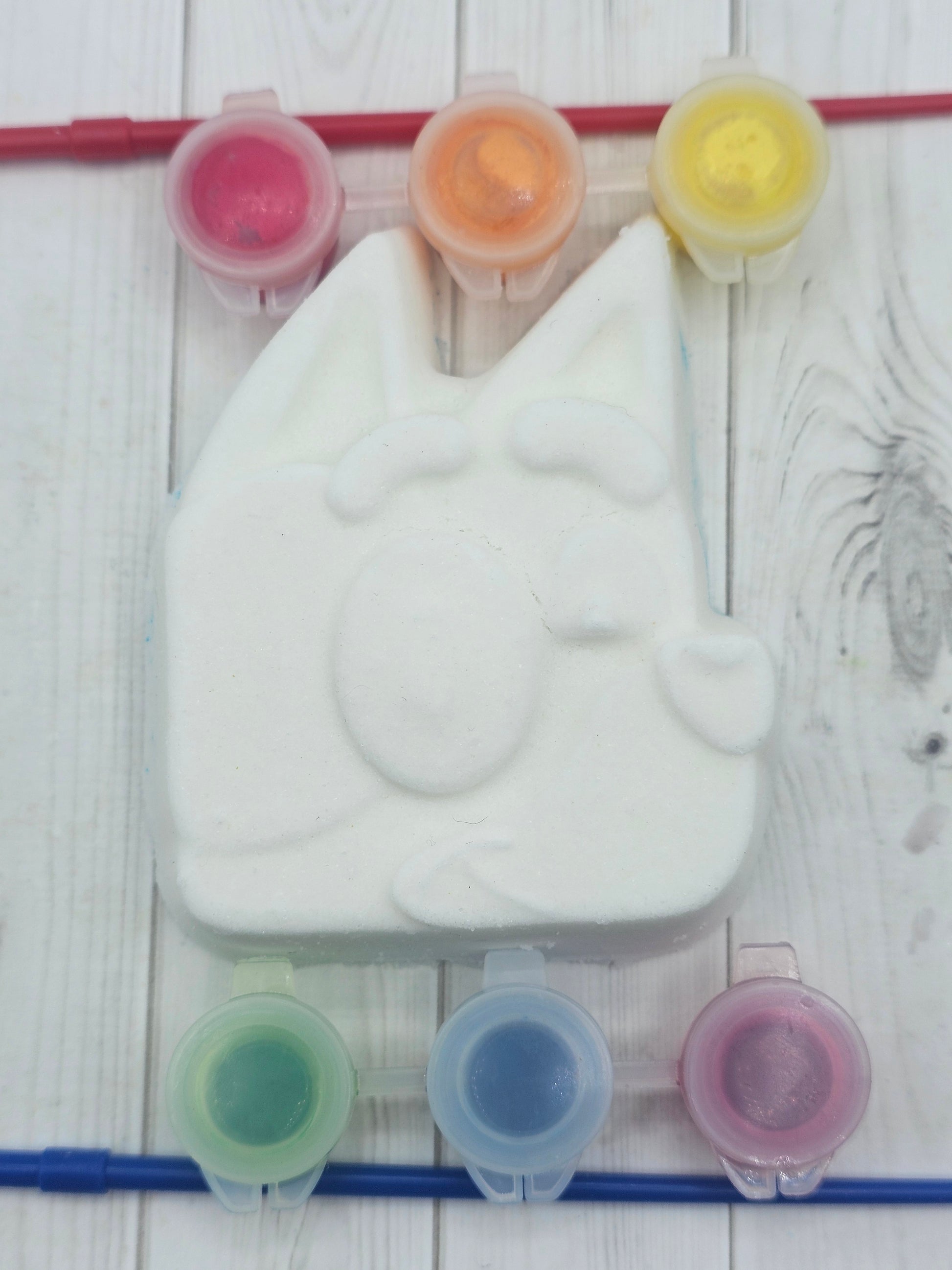 Bluey Head Paint Kit