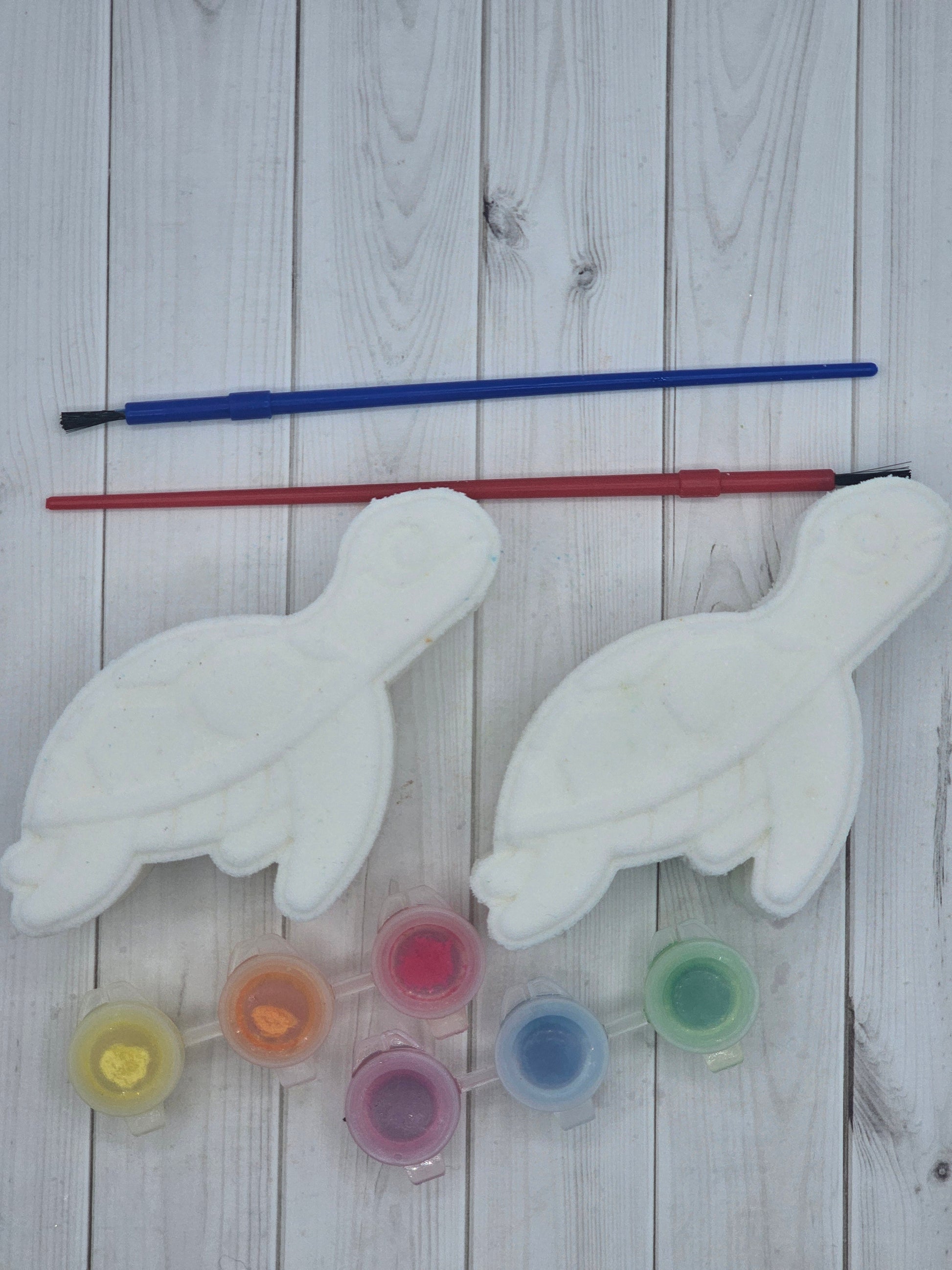 Sea Turtle Paint Kit