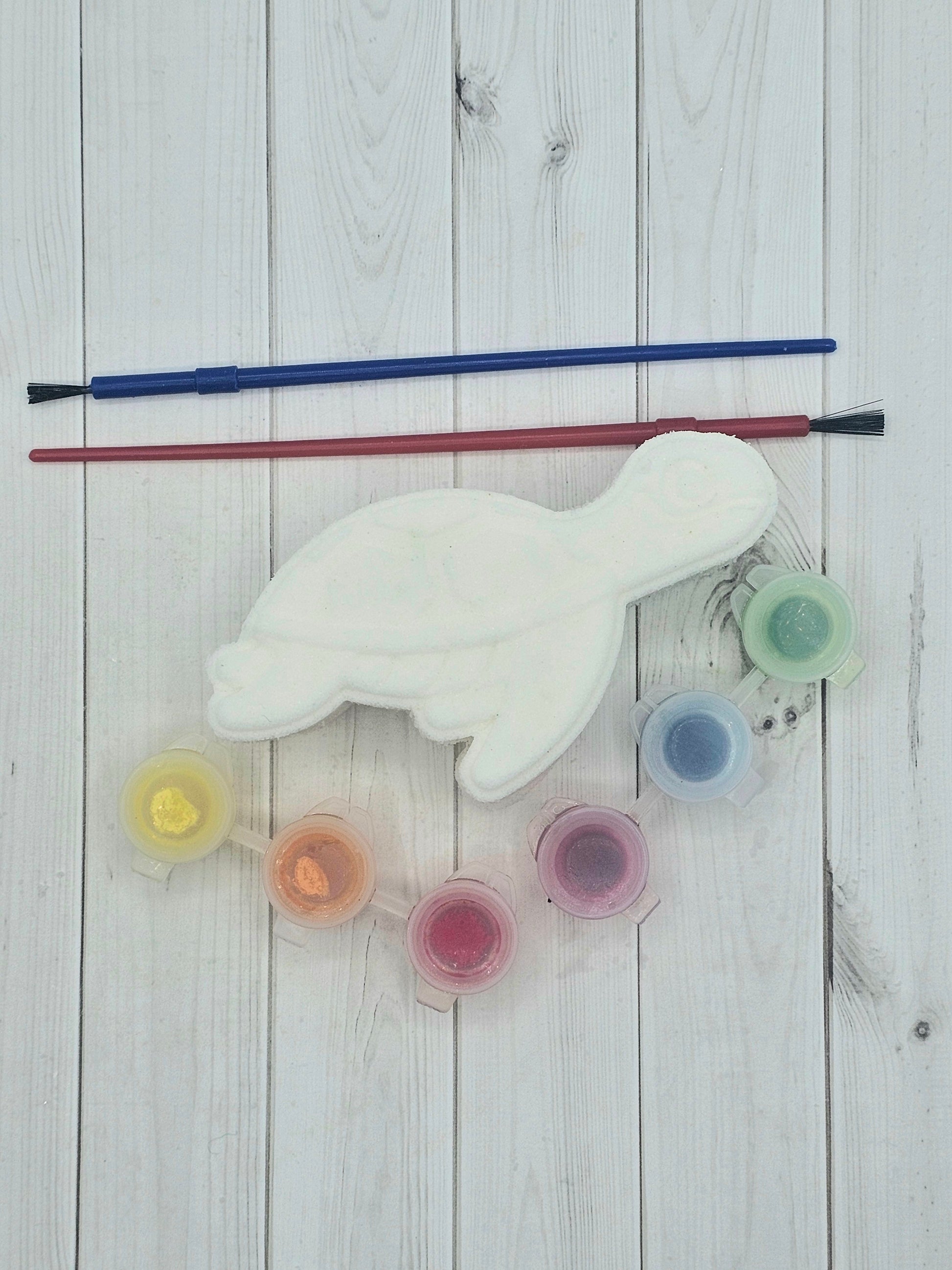 Sea Turtle Paint Kit